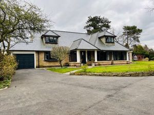 Photo 2- click for photo gallery